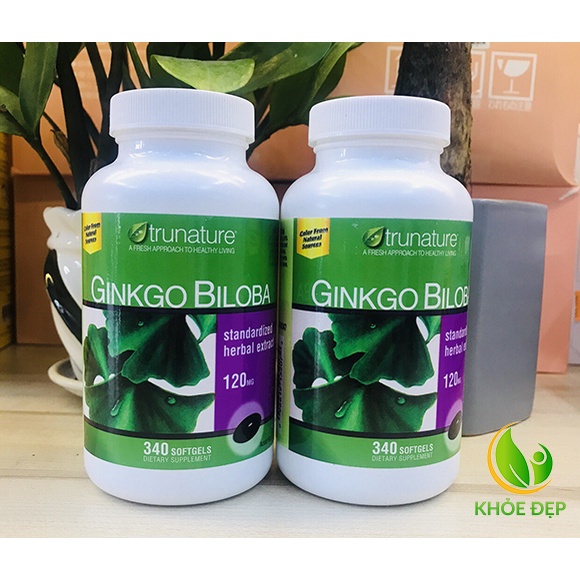 Viên Uống Bổ Não Ginkgo Biloba 120mg Của Mỹ 340 Viên - Tăng cường trí nhớ, cho não khỏe mạnh