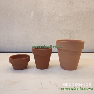 Chậu đất nung màu nâu trồng cây xương rồng sen đá mini để bàn