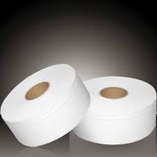 Combo 2 cuộn giấy vệ sinh 700g 2 lớp
