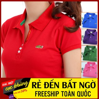 Áo thun Cotton NỮ cao cấp xuất khẩu vải cá sấu 4 chiều [GIÁ SIÊU RẺ]