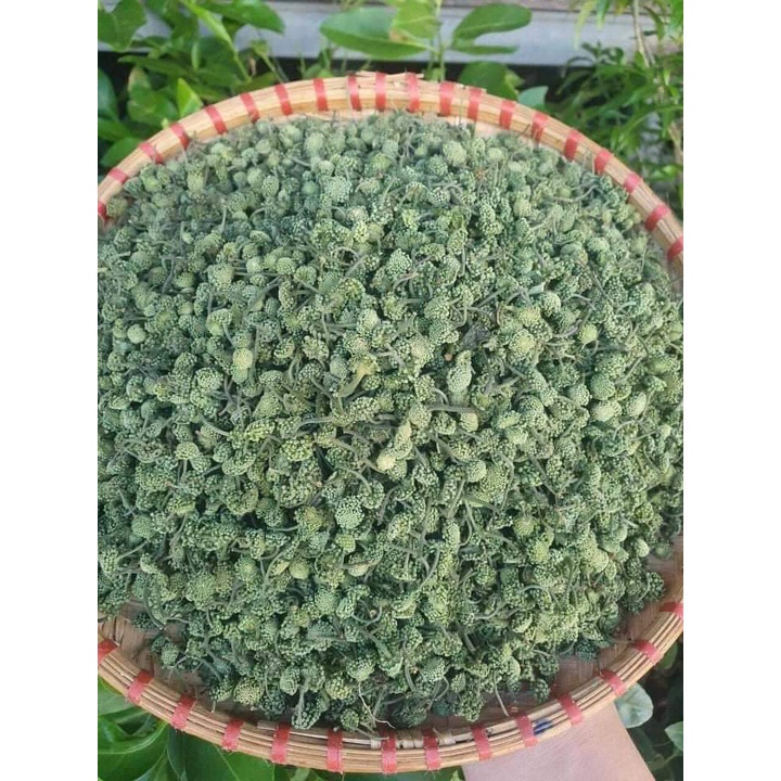 NỤ HOA TAM THẤT Đặc Sản Tây Bắc hàng loại 1