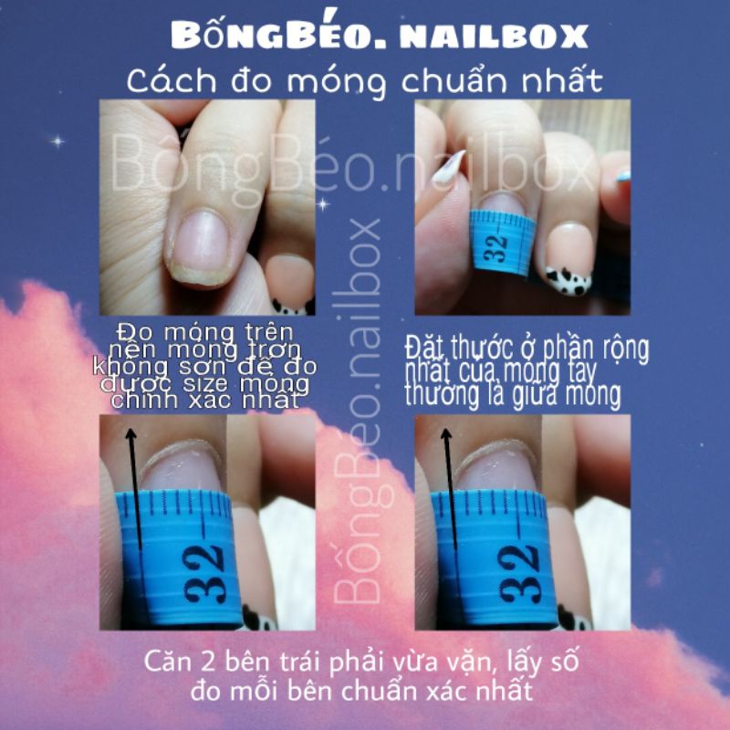 Nailbox chân mèo