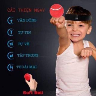 BÓNG PHẢN XẠ VÕ THUẬT