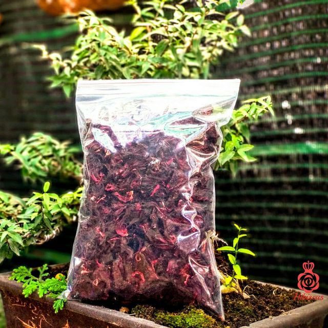 Hoa atiso 1kg - hibiscus