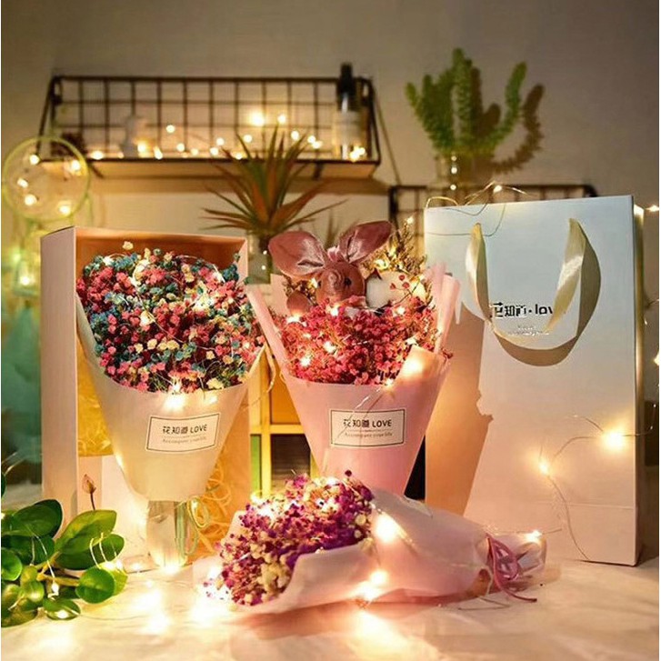 Dây đèn led Fairy Light trang trí, đèn đom đóm nhấp nháy siêu đẹp - GGTeam