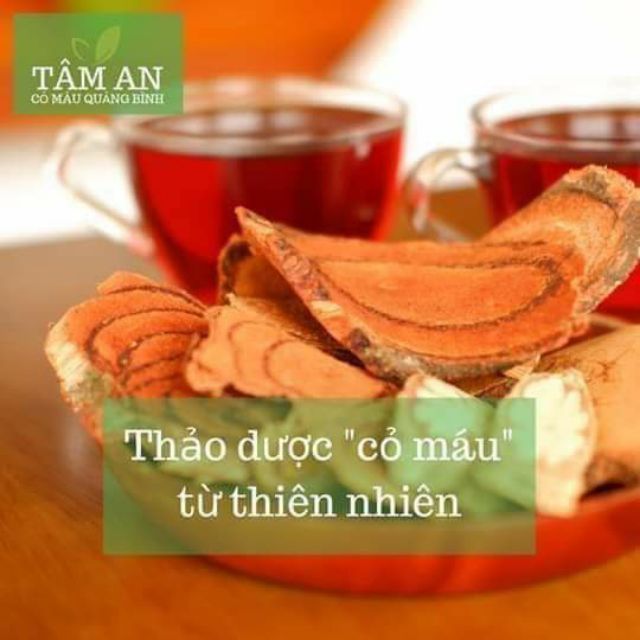 Trà cỏ máu Tâm An