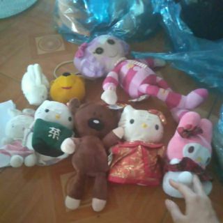 Combo gấu bông, mèo thỏ, búp bê