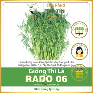 Hạt Giống Thì Là Rado 06 (5gr)