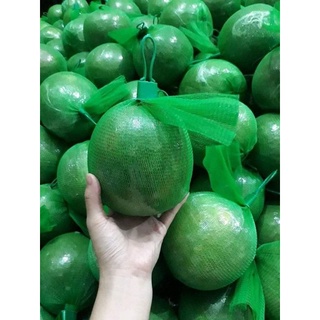 sỉ 10kg túi lưới đựng trái cây, bọc bưởi, đựng hành tỏi