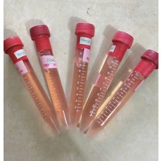 Combo Keiki Duy đỏ và Duy xanh