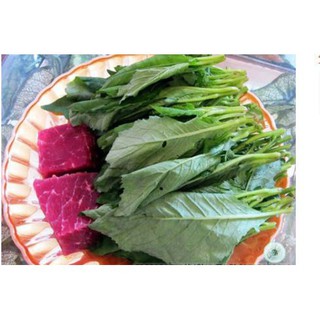 Gói 100 Hạt Giống Cải Trời luckyseed hạt siêu rẻ