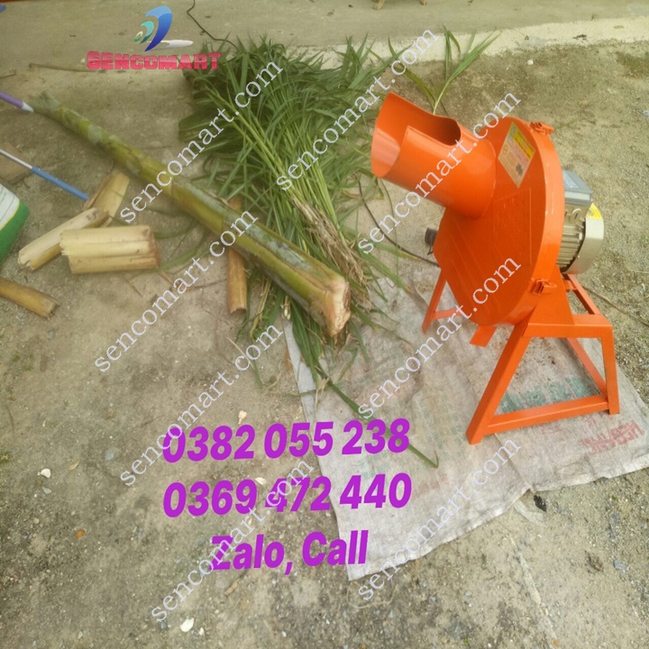 Máy Thái Chuối, Máy Băm Cỏ Voi Siêu Mịn Toàn Phát
