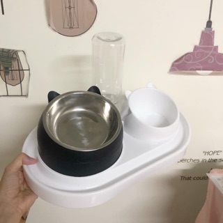 Chén ăn chống kiến