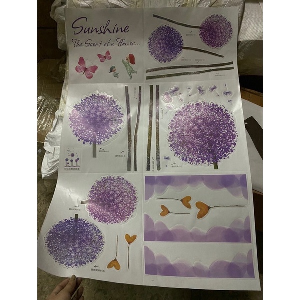 decal dán trang trí