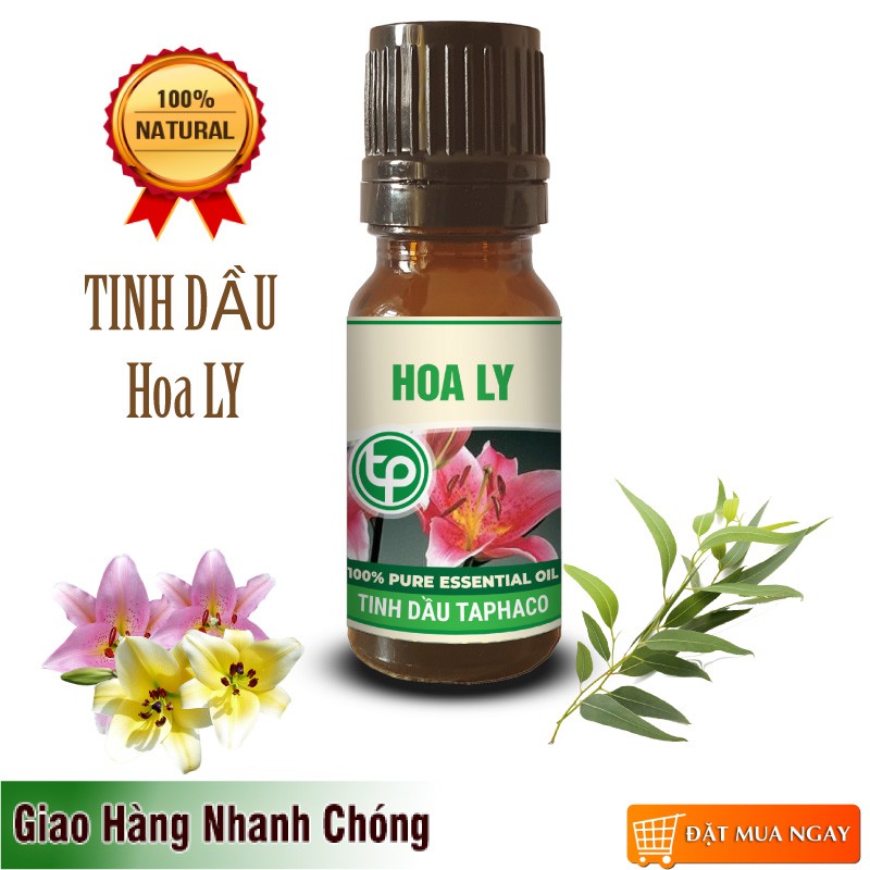 Tinh Dầu Hoa Ly Thơm Phòng, Giảm Stress 10ml