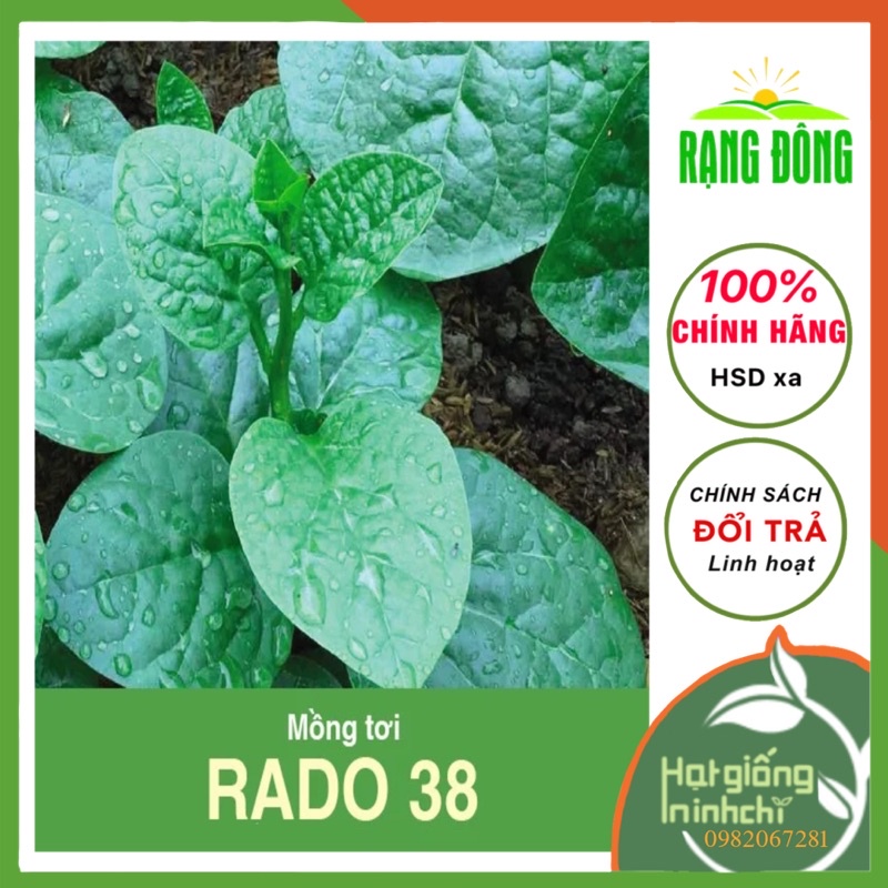Hath giống Mồng tơi lá to dễ trồng, năng suất