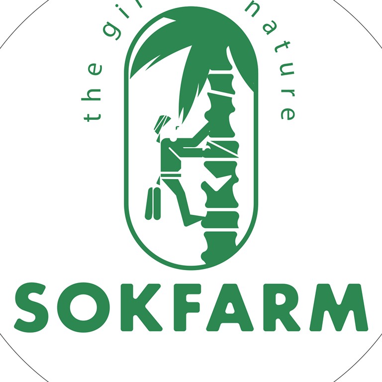 Mật Hoa Dừa - SokFarm