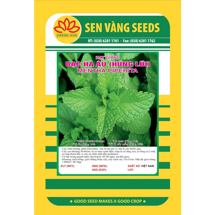 Hạt giống Bạc Hà Âu   | Sen Vàng | VTNN Cần Thơ