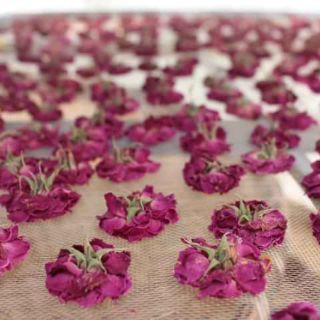 Trà hoa hồng ( Rose tea)