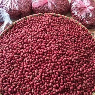 lạc sẻ đỏ nghệ an 1kg ( lạc chọn đẹp)