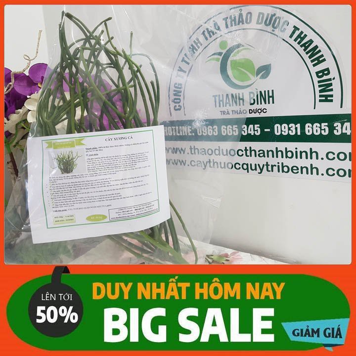 Cây Xương Cá 1kg - Hàng Tươi Luôn Có Sẵn
