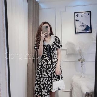 Đầm cúc họa mi cổ voan bèo