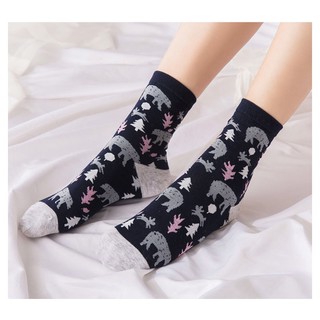 Vớ tất nam nữ hàn quốc cực đẹp tn99