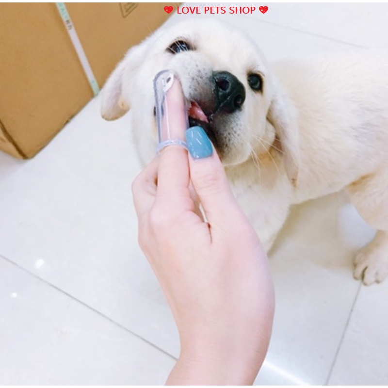 BÀN CHẢI ĐÁNH RĂNG CHO CHÓ MÈO BẰNG SILICON ĐEO TAY (MẪU MỚI) - 💝LOVE PETS SHOP💝