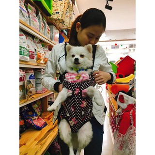 Địu cho chó mèo