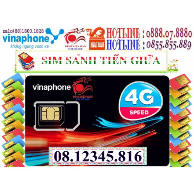 Sim tiến sảnh giữa