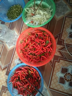 1,6kg măng ớt mác mật