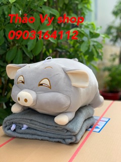 Heo mắt híp kèm mền hàng cao cấp