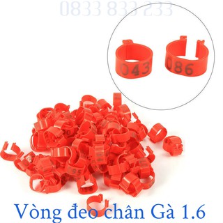 Vòng Đeo Chân Gà ( 10 chiếc).