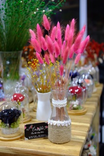 Lọ hoa cỏ đuôi thỏ