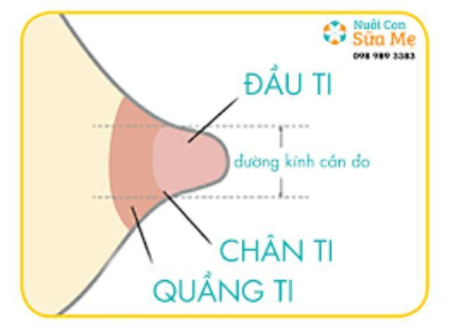 (THANH LÝ) Phễu cho máy hút sữa Medela - 1 đôi