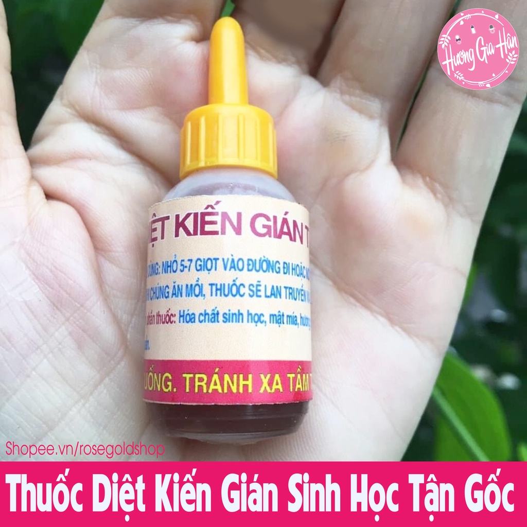 Thuốc Diệt Kiến Gián Sinh Học, An Toàn Với Cả Trẻ Nhỏ &amp; Người Già - Cực Kỳ Hiệu Quả