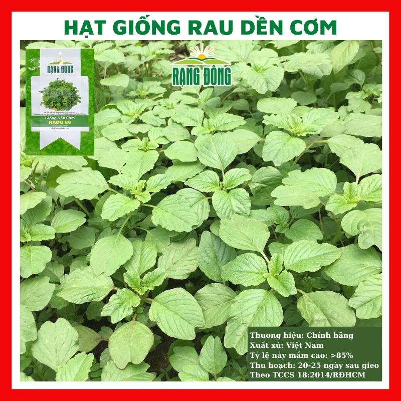Hạt giống rau dền cơm - rau củ quả trồng chậu, sân vườn ban công ngon giòn ngọt nảy mầm cao 10g RADO86
