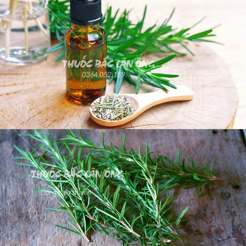 Lá hương thảo sấy lạnh 500g (Gia vị thảo mộc tẩm ướp thịt nướng) - Thuốc Bắc Lãn Ông