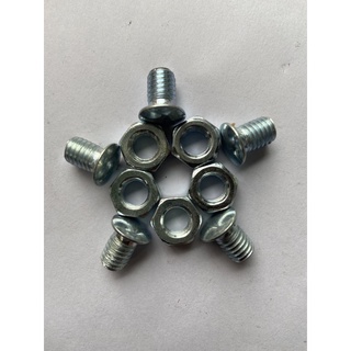Ốc bắt v lỗ combo 10 con