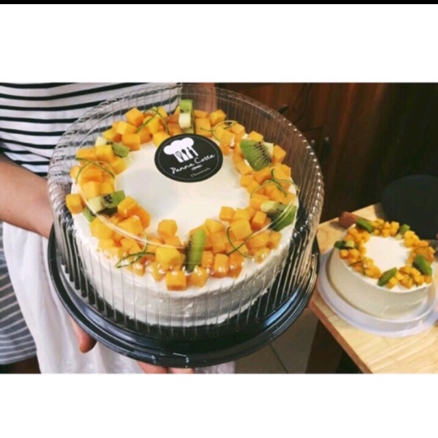 Combo 5 hộp A024 đựng bánh thạch