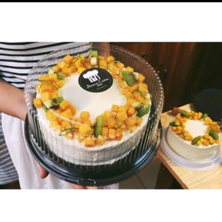 Combo 5 hộp A024 đựng bánh thạch