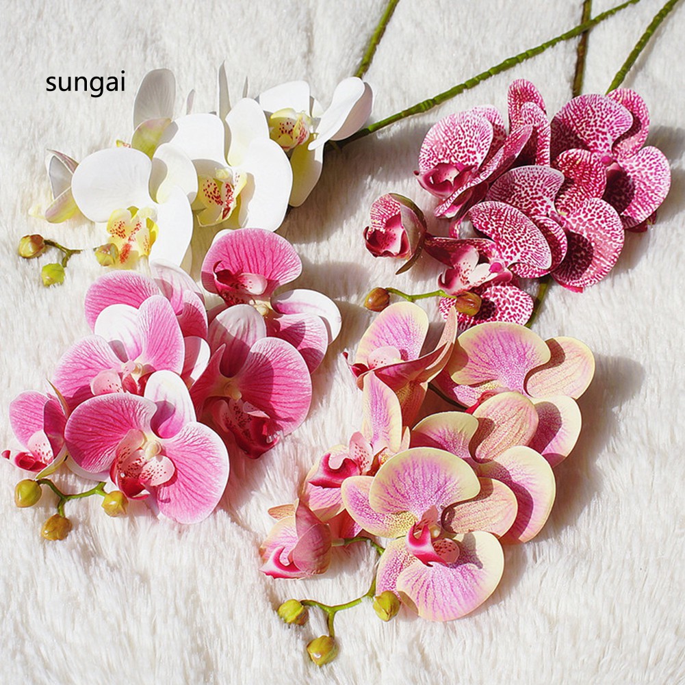Hoa Lan Giả Dùng Để Trang Trí
