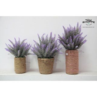 Chậu hoa để bàn Lavender Vintage No.9 TTTM