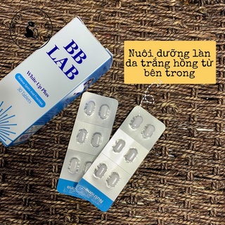 Bb lab white up plus 30v