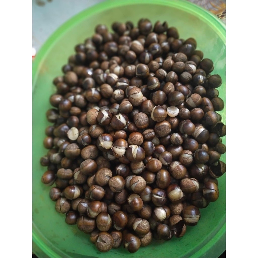 Hạt dẻ rừng . 100% thiên nhiên. Siêu ngon | BigBuy360 - bigbuy360.vn