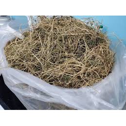 ☑️500GAM Dây khổ qua rừng khô hãm trà