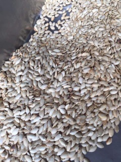 1kg hạt bí ngô rang chín