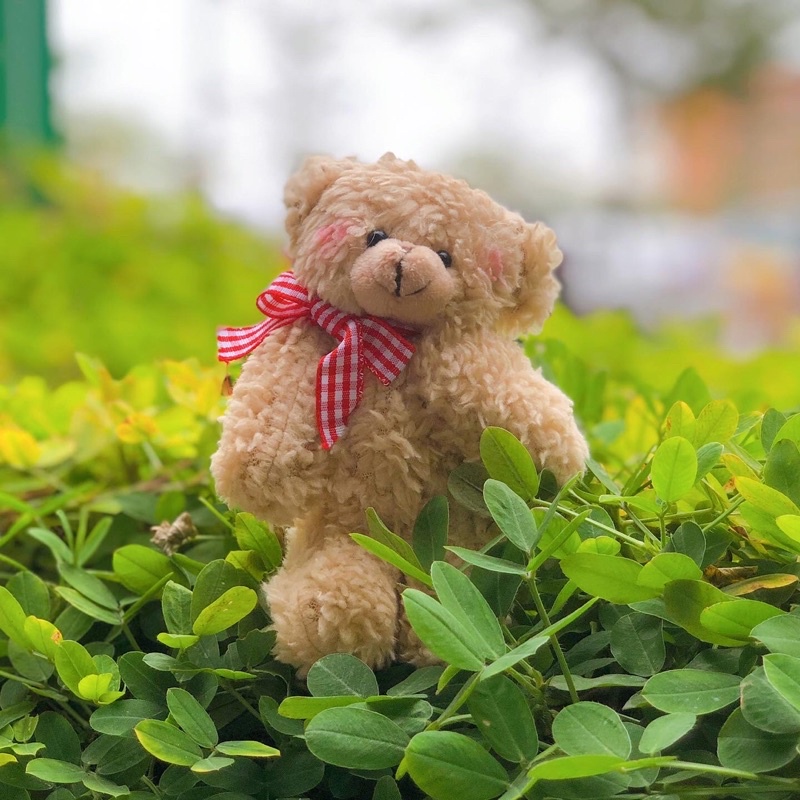 Set quà Giáng Sinh - Christmas Box - Set quà tặng gấu bông & nến thơm