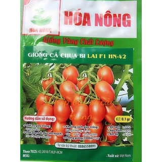 Hạt giống cà chua bi f1 dễ trồng