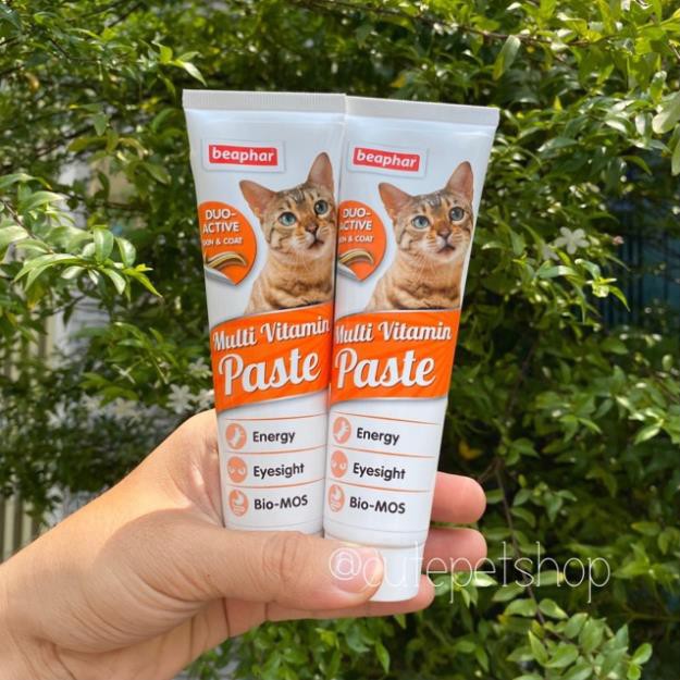 GEL DINH DƯỠNG CHO MÈO BEAPHAR